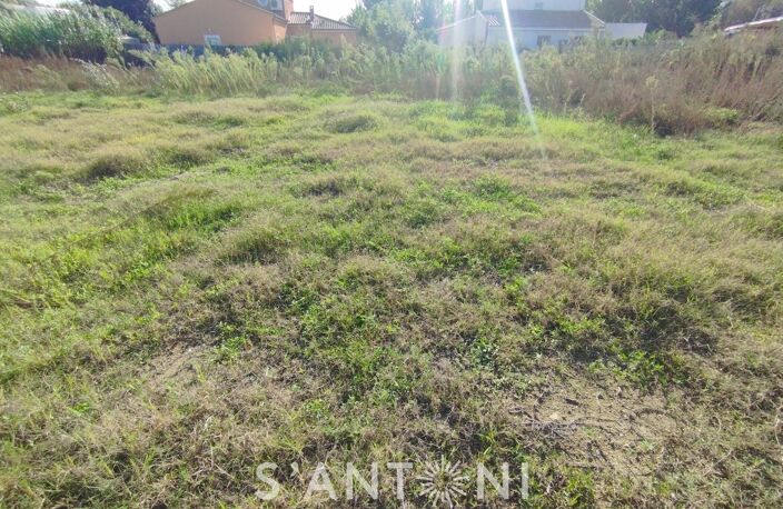 Terrain — photo 5