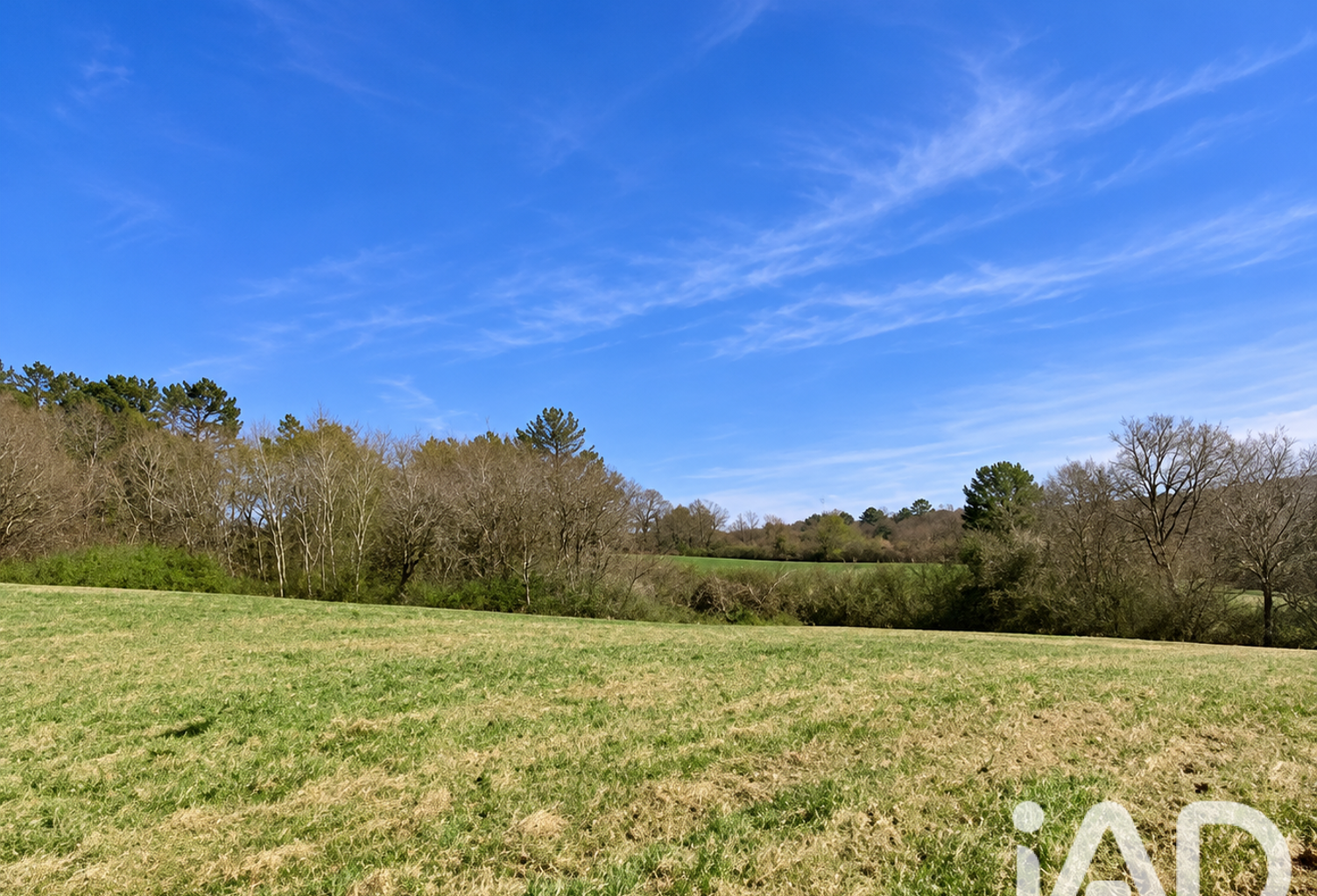 Vente Terrain à bâtir 3 239 m&sup2; — photo 1