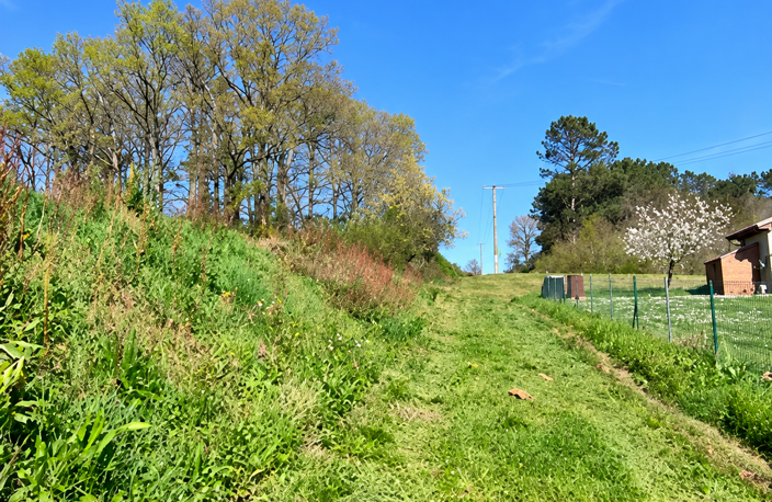Vente Terrain à bâtir 3 239 m&sup2; — photo 2