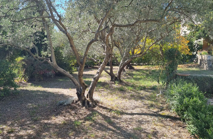 Bastide avec terrain — photo 3