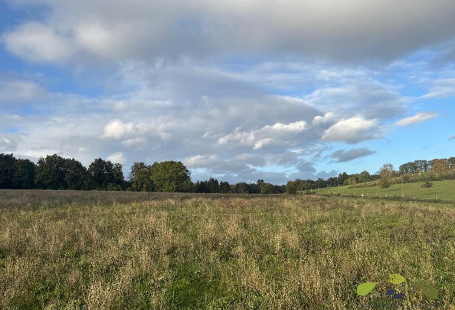 CORREZE — photo 1