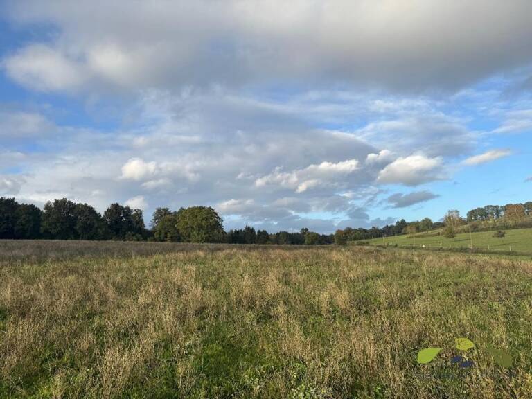 CORREZE — photo 1