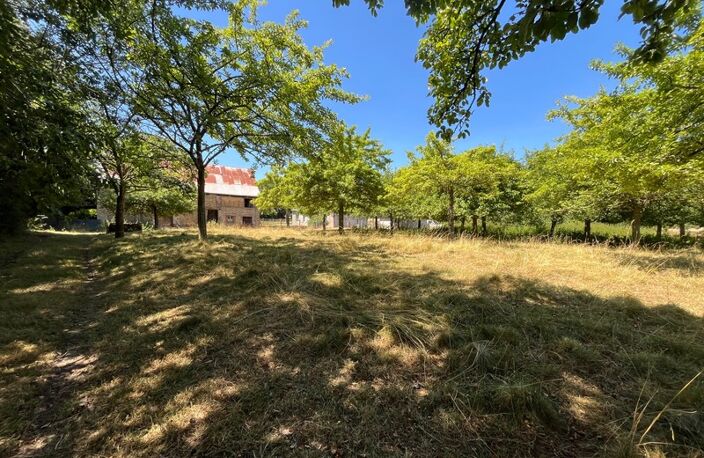 Havre de paix : Maison en pierre rénovée et son verger de 150 pommiers — Rare sur le marché — photo 2