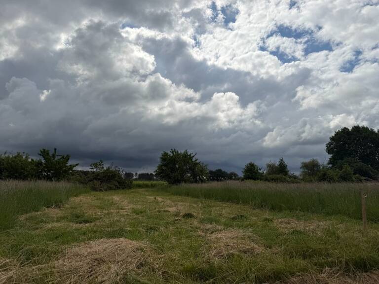 Terrain à bâtir à Saint-Pierre-de-Mons (33210) — photo 1