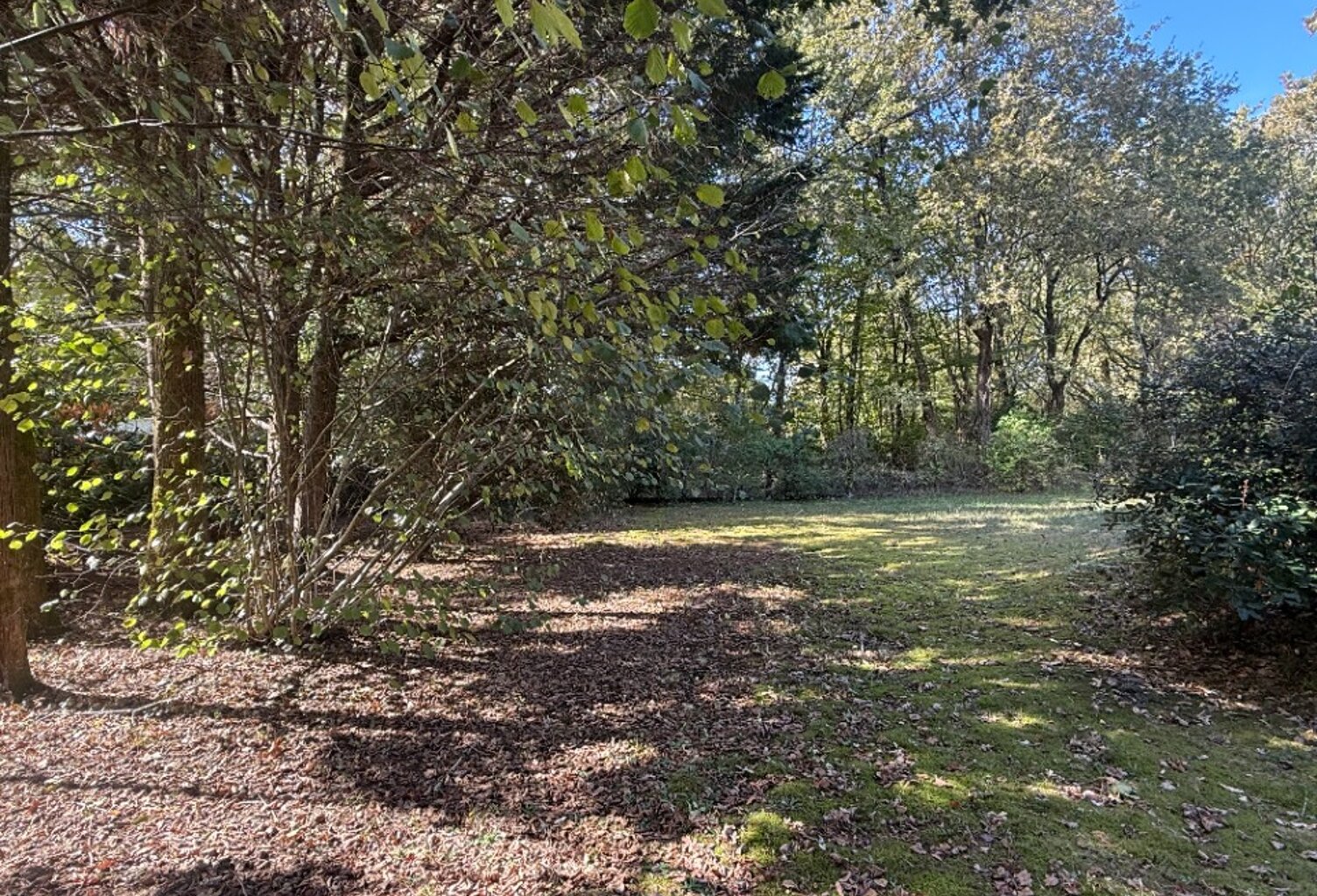 Terrain à bâtir à Salles (33770) — photo 1