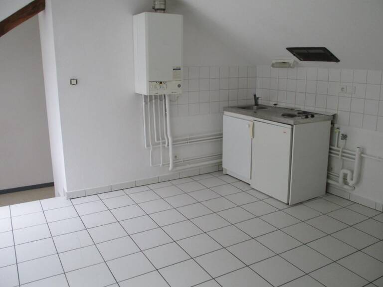 À LOUER – T1 BIS DE 35 m² AVEC PARKING ET CAVE À PORT-SUR-SAÔNE — photo 1