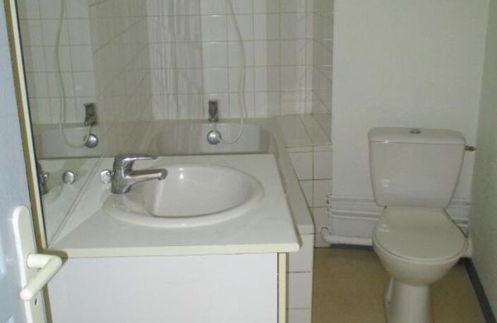 À LOUER – T1 BIS DE 35 m² AVEC PARKING ET CAVE À PORT-SUR-SAÔNE — photo 4