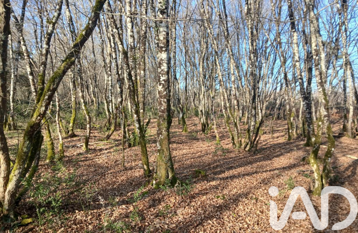 Vente Domaine 11 pièces — photo 2