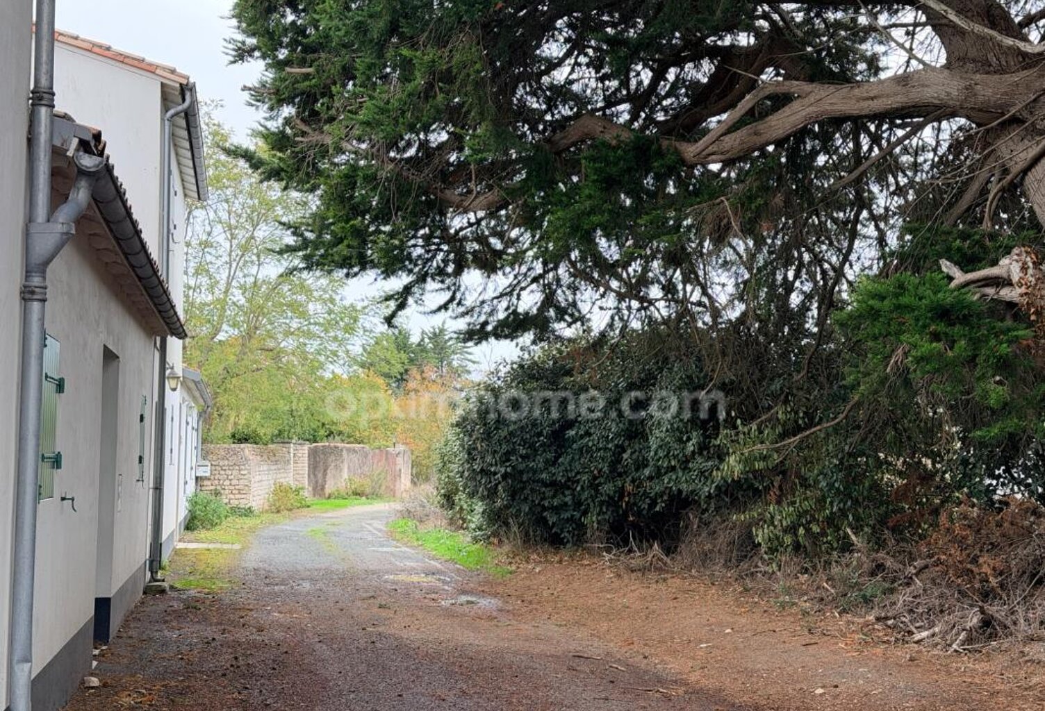 Terrain d'exception au Bois-Plage-en-Ré - Rouland– Un havre de paix — photo 1