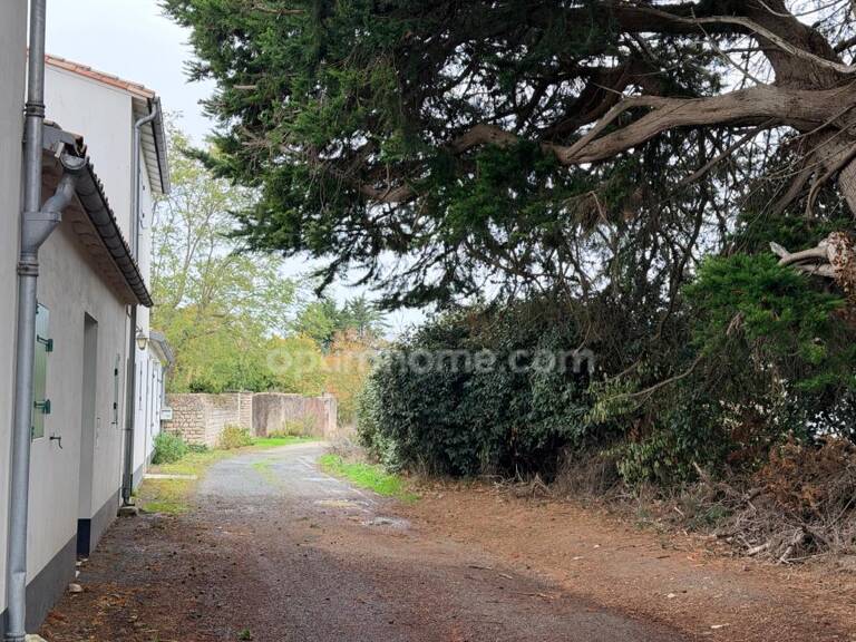 Terrain d'exception au Bois-Plage-en-Ré - Rouland– Un havre de paix — photo 1