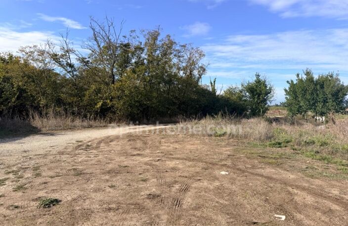 Terrain d'exception au Bois-Plage-en-Ré - Rouland– Un havre de paix — photo 2