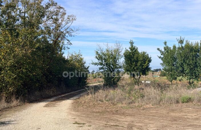 Terrain d'exception au Bois-Plage-en-Ré - Rouland– Un havre de paix — photo 4