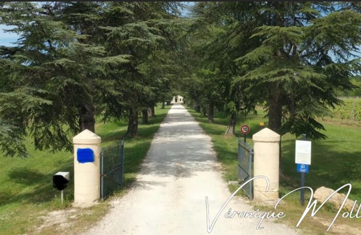 DOMAINE A SADIRAC - ENTRE DEUX MERS -  A 16kms de BORDEAUX - 45 minutes aéroport Bordeaux — photo 2