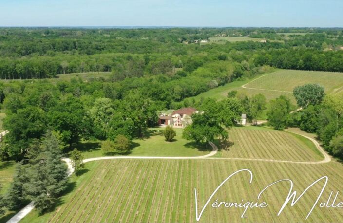 DOMAINE A SADIRAC - ENTRE DEUX MERS -  A 16kms de BORDEAUX - 45 minutes aéroport Bordeaux — photo 4