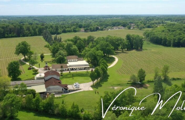DOMAINE A SADIRAC - ENTRE DEUX MERS -  A 16kms de BORDEAUX - 45 minutes aéroport Bordeaux — photo 5