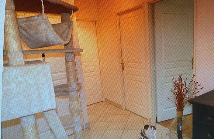 Appartement de 58m2 à louer sur Saint-Fargeau-Ponthierry — photo 3