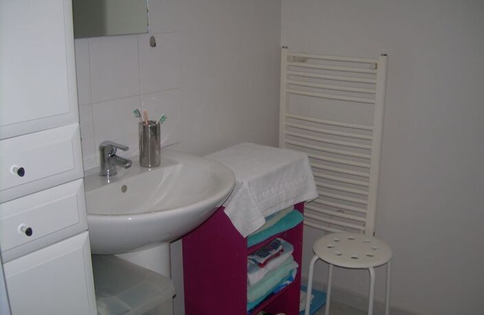 Appartement de 43m2 à louer sur Lyon 03 — photo 4