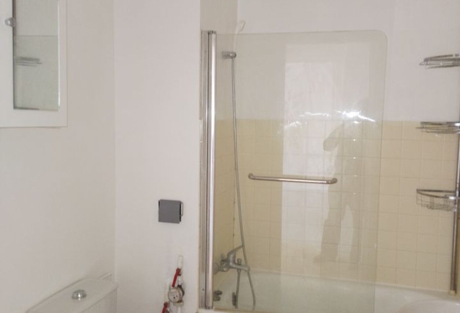 Appartement de 33m2 à louer sur Vizille — photo 1