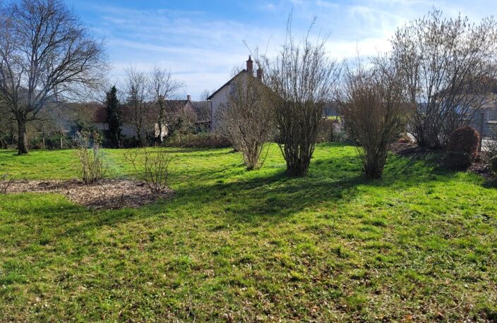 DPT ALLIER (03) FORET DE TRONCAIS - PROCHE LURCY LEVIS - MAISON 4 PIECES - POTAGER - ARBRES FRUITIERS - TERRAIN 3871 m2 — photo 5