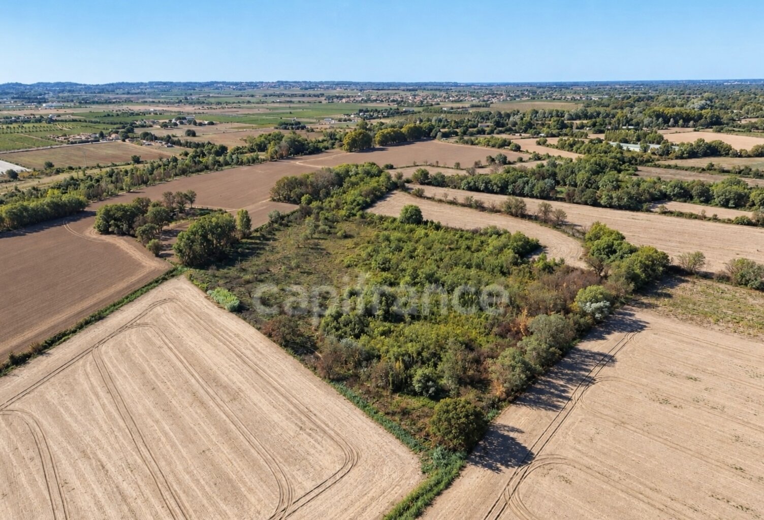 Terrains agricoles 3 hectares — photo 1