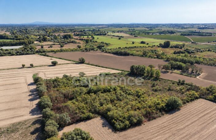 Terrains agricoles 3 hectares — photo 2