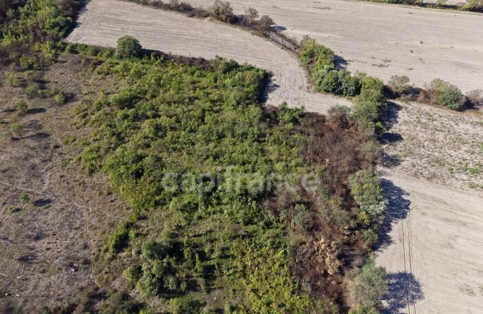 Terrains agricoles 3 hectares — photo 3