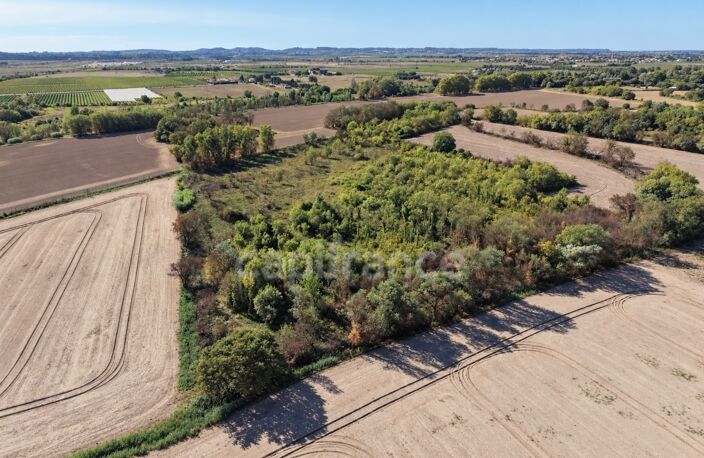 Terrains agricoles 3 hectares — photo 4