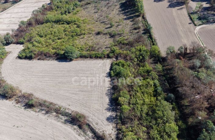 Terrains agricoles 3 hectares — photo 5