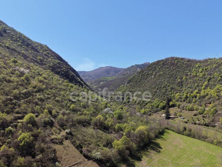 Terres et bâtis d'activités de 256 m² sur 20 hectares (203 000 m²) — photo 1
