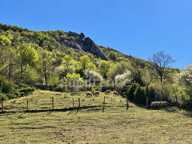 Terres et bâtis d'activités de 256 m² sur 20 hectares (203 000 m²) — photo 3