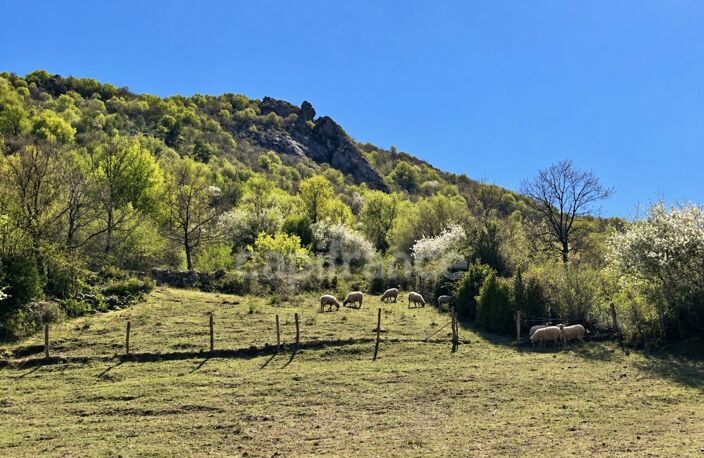 Terres et bâtis d'activités de 256 m² sur 20 hectares (203 000 m²) — photo 3