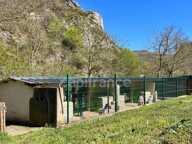 Terres et bâtis d'activités de 256 m² sur 20 hectares (203 000 m²) — photo 4