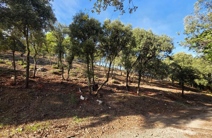 Terrains constructibles à Peyruis 618m2 Vue dégagée et multiples possibilités de construction — photo 4