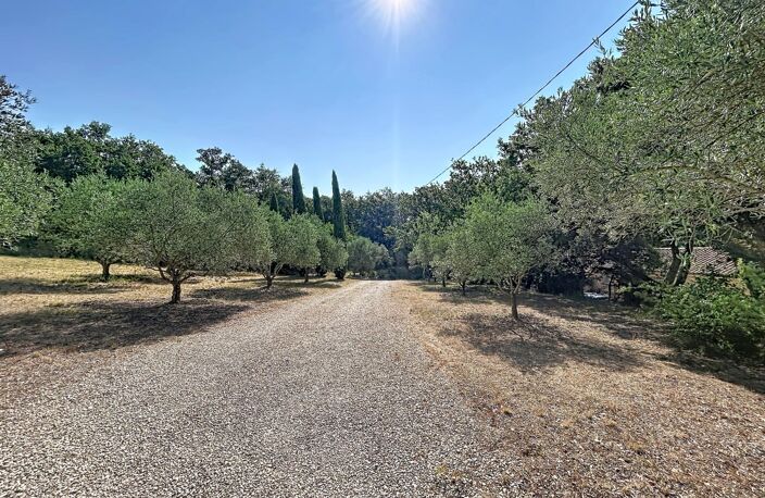 LOURMARIN  MAISON PROVENÇALE DE 117 M² ET STUDIO INDÉPENDANT DE 32 M² SUR TERRAIN DE 5 000 M² — photo 3