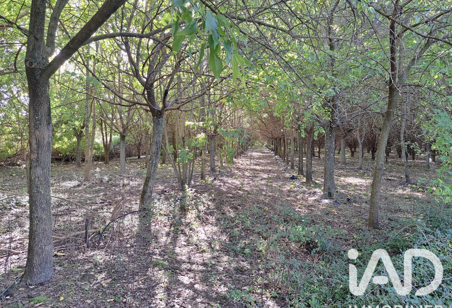 Vente Terrain agricole 16 110 m&sup2; — photo 1