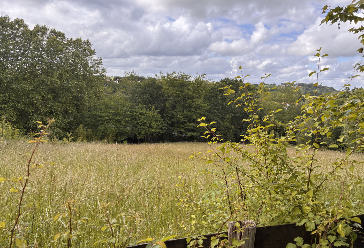 Grand terrain constructible de 1 299 m2 - Hors lotissement — photo 1