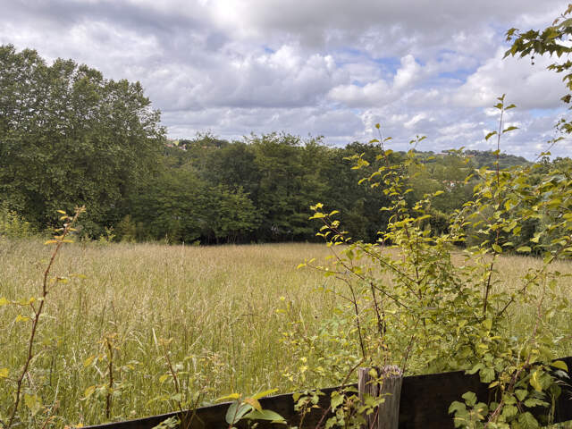 Grand terrain constructible de 1 429 m2 - Hors lotissement — photo du bien