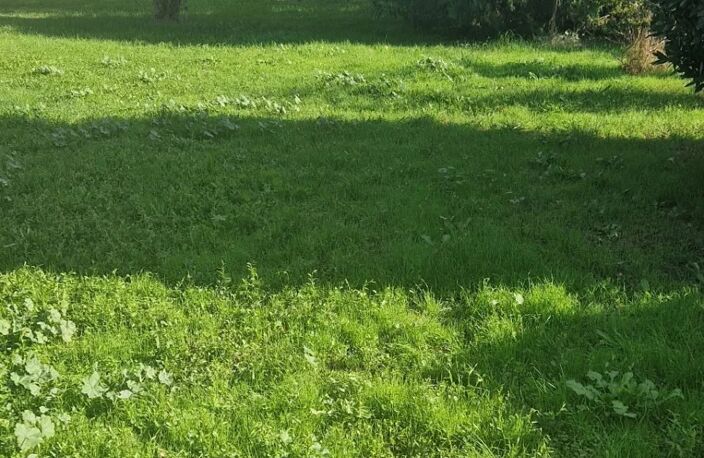 Terrain constructible de 470 m² à Salon-de-Provence — photo 3