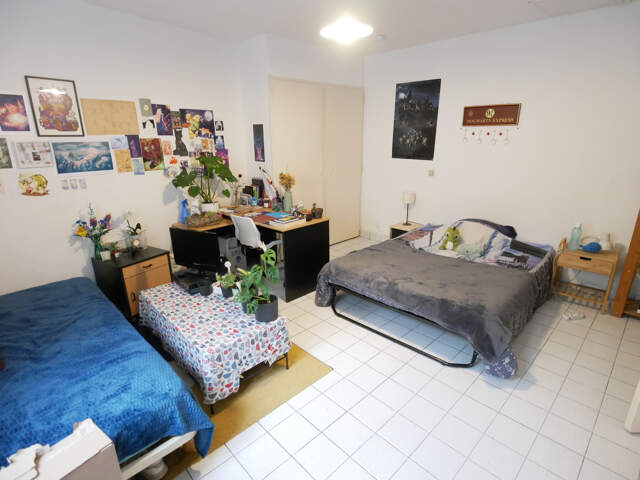 T1 CENTRE AVEC COUR PRIVATIVE — photo du bien
