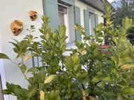 VENTE A TERME LIBRE LOUEE avec BAIL A VIE — photo 3