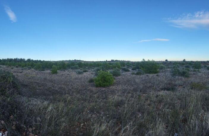 Vente Terrain agricole 21 840 m&sup2; — photo 3