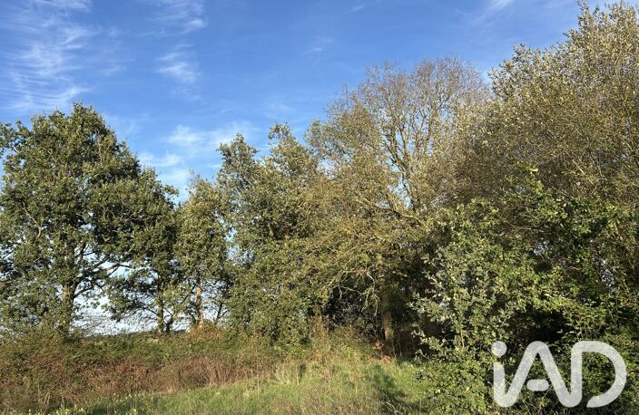 Vente Terrain 4 160 m&sup2; — photo 5