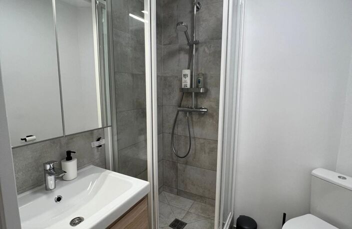 Un appartement refait à neuf avec goût DPE C — photo 5