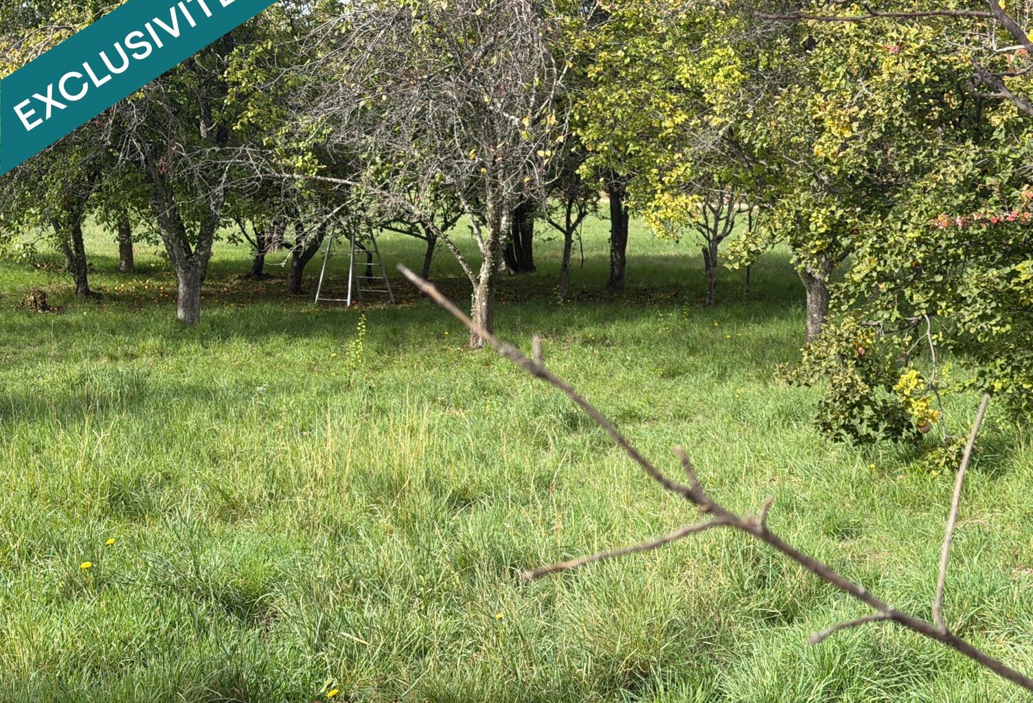 Rare sur la commune, terrain à bâtir viabilisé — photo 1