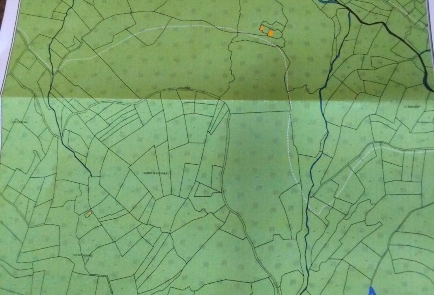 Terrain rare — photo 1