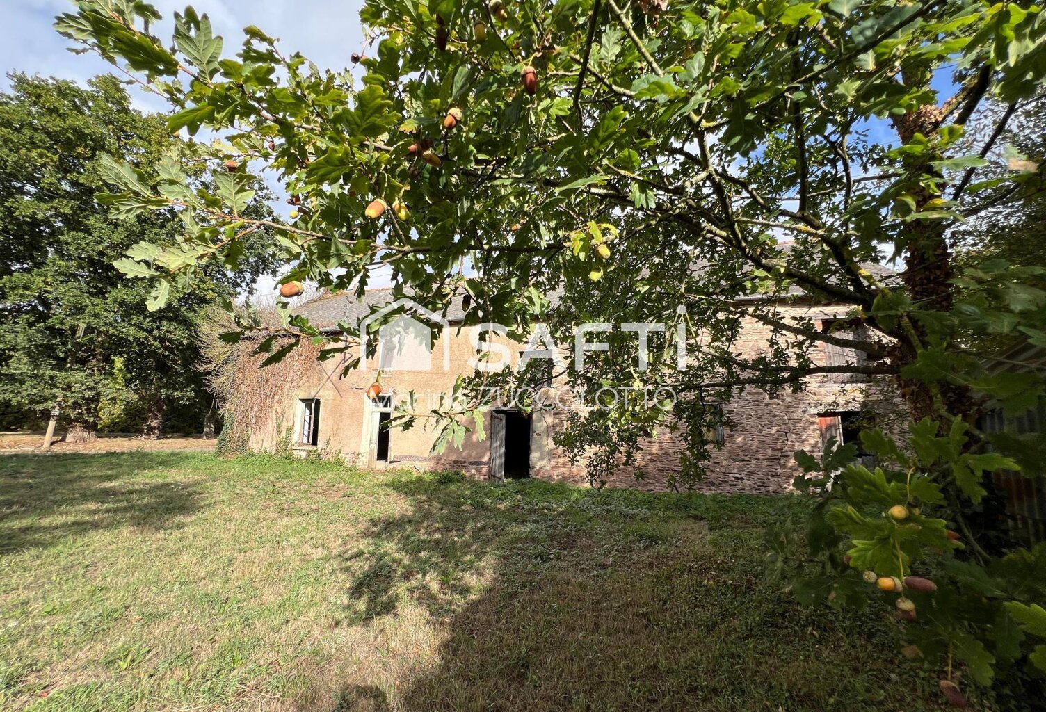 MUEL, en campagne — photo 1