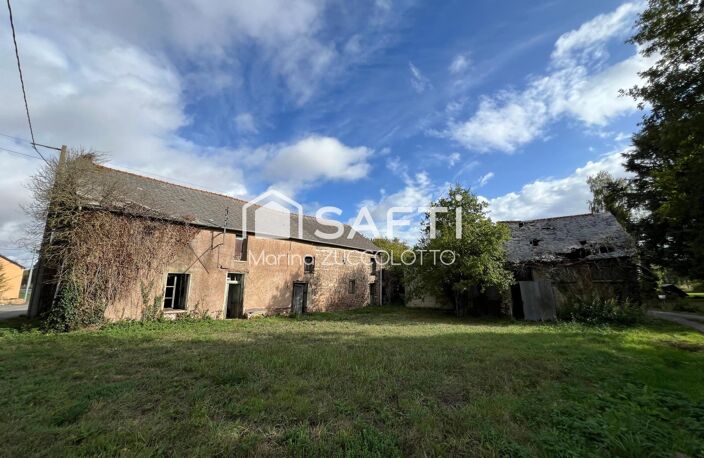 MUEL, en campagne — photo 2