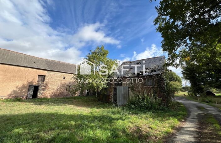 MUEL, en campagne — photo 4