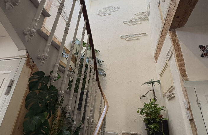 Ensemble immobilier Pierrefitte-Nestalas — photo 4