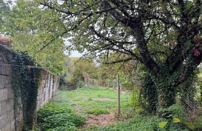 CORREZE — photo 3